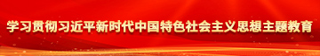 免费叼逼视频大全网站学习贯彻习近平新时代中国特色社会主义思想主题教育